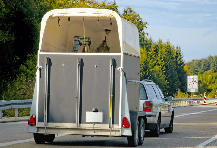 Thib's horse_Trailer